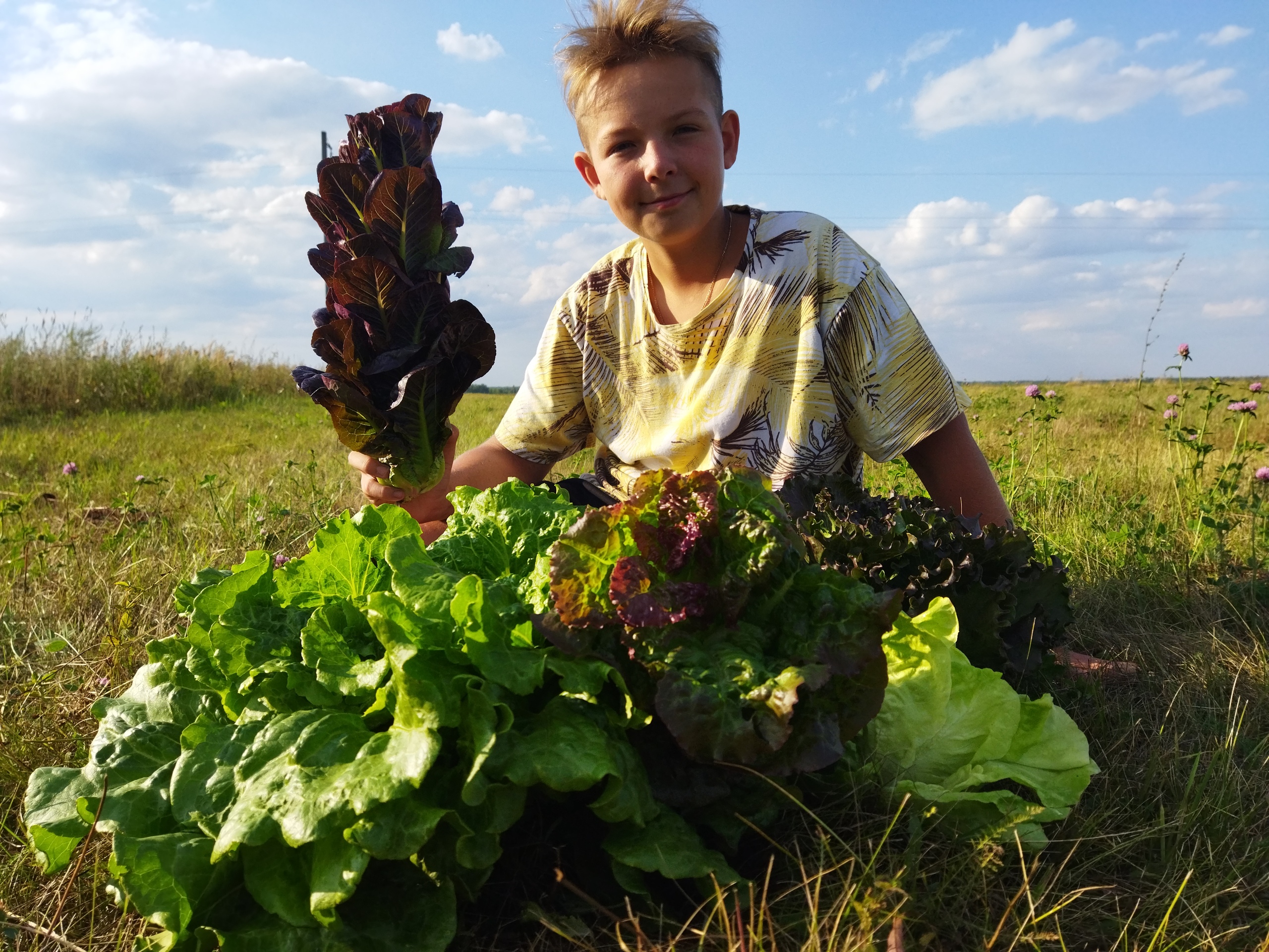 Юные аграрии Ковровского района