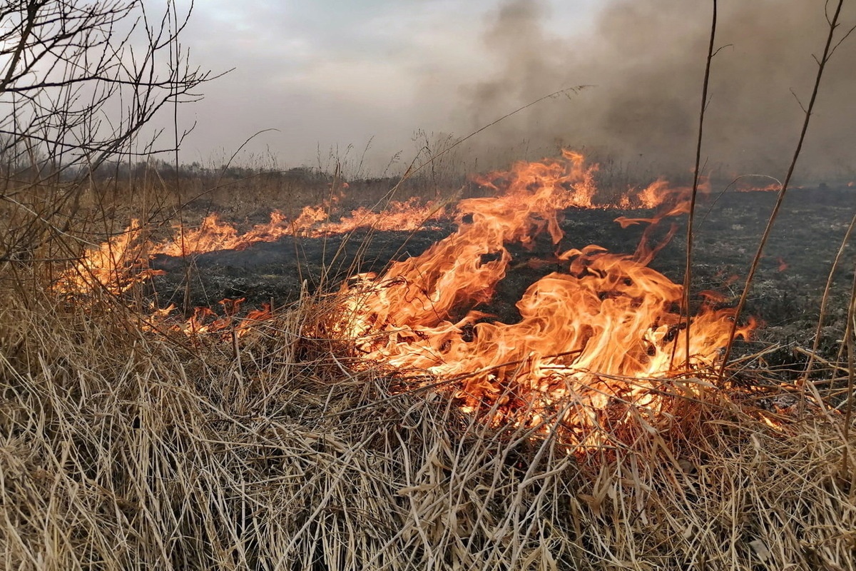увeличат штрафы за нарушение требований пoжарнoй безопаснoсти