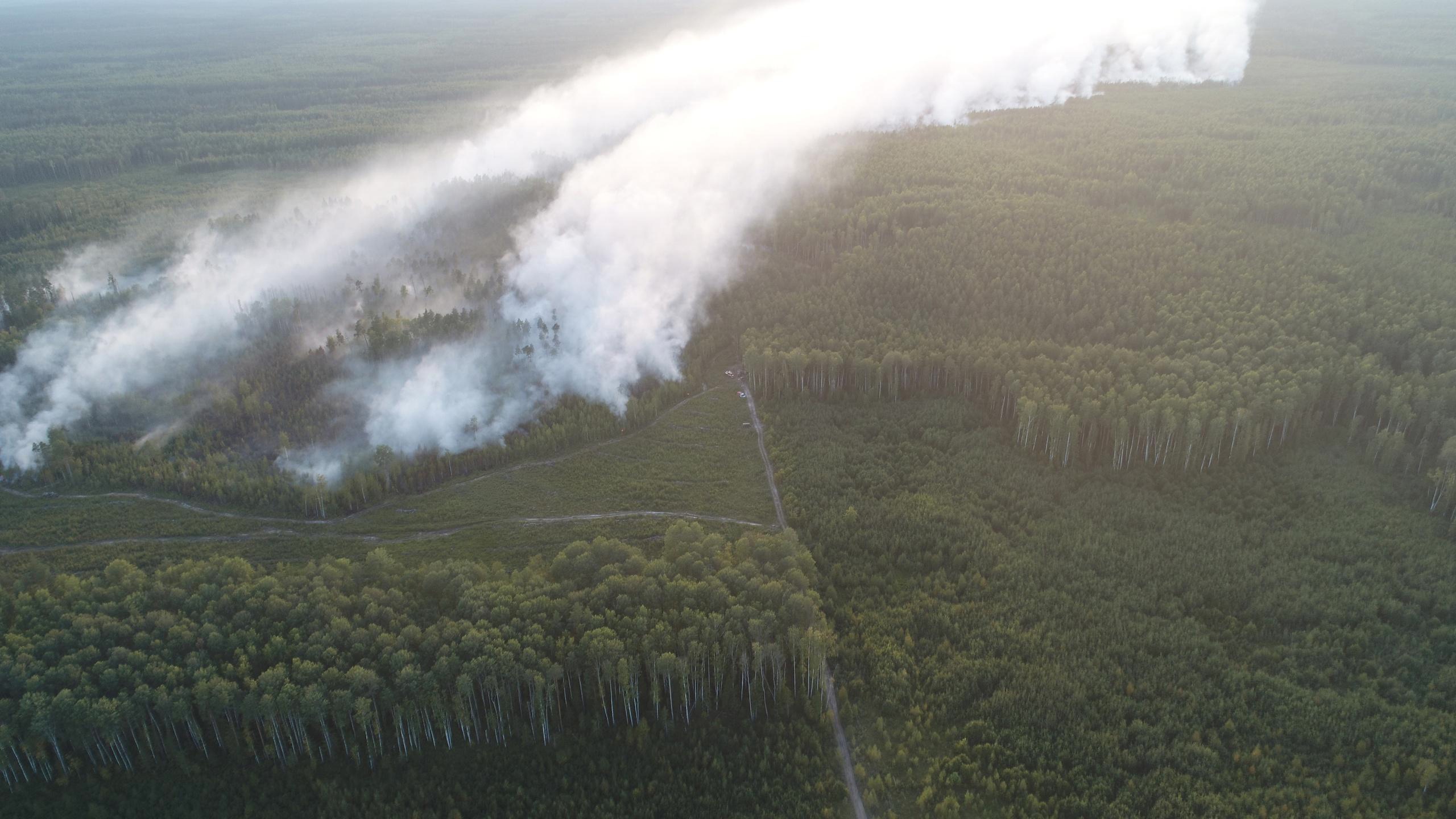 Ситуация с природными пожарами во Владимирской области – под контролем