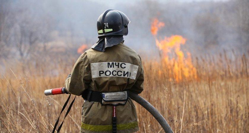 С 8 сентября во Владимирской области отменяется особый противопожарный режим