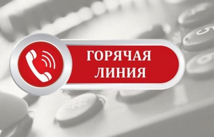 телефон «горячей линии»