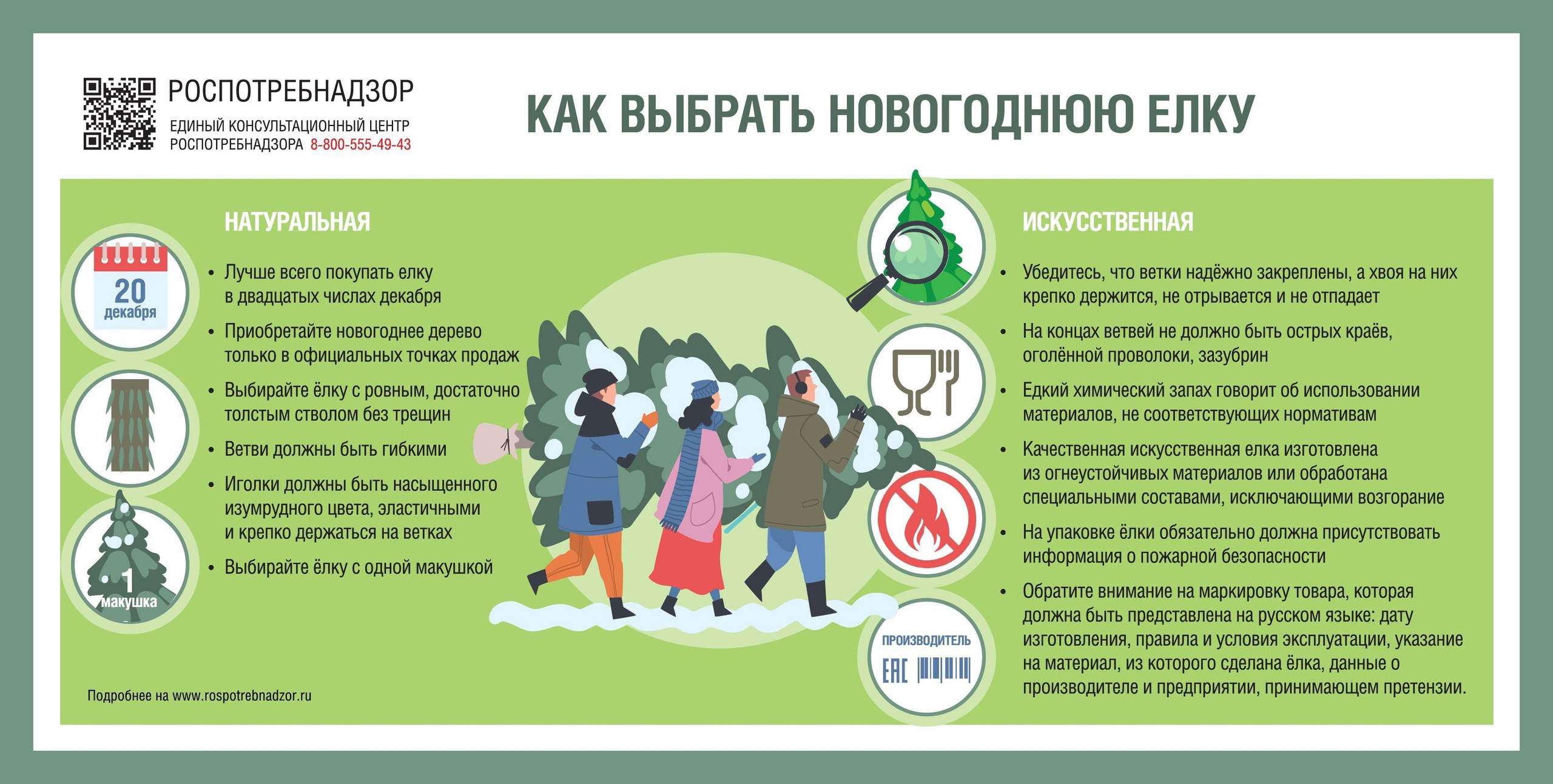 Как выбрать новогоднюю елку? 