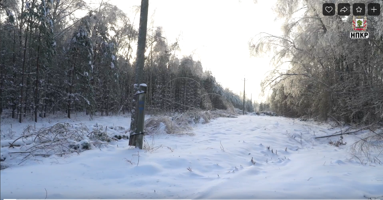 Вячеслав Скороходов оценил работы Ковровского РЭС по расчистке ЛЭП от последствий ледяного дождя