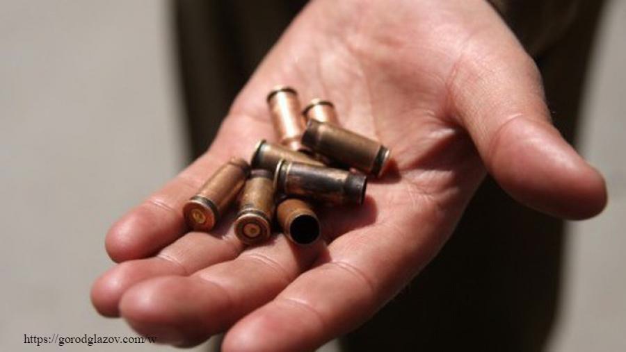 Местного жителя осудили за незаконное хранение огнестрельного оружия