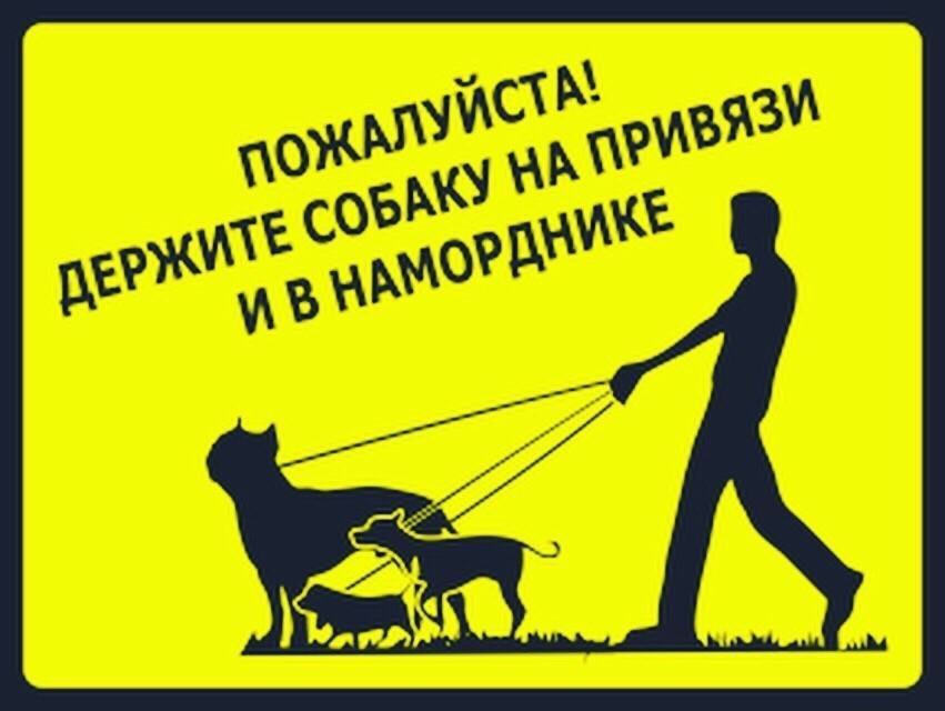 За собаководами-нарушителями будут следить две надзорных инспекции