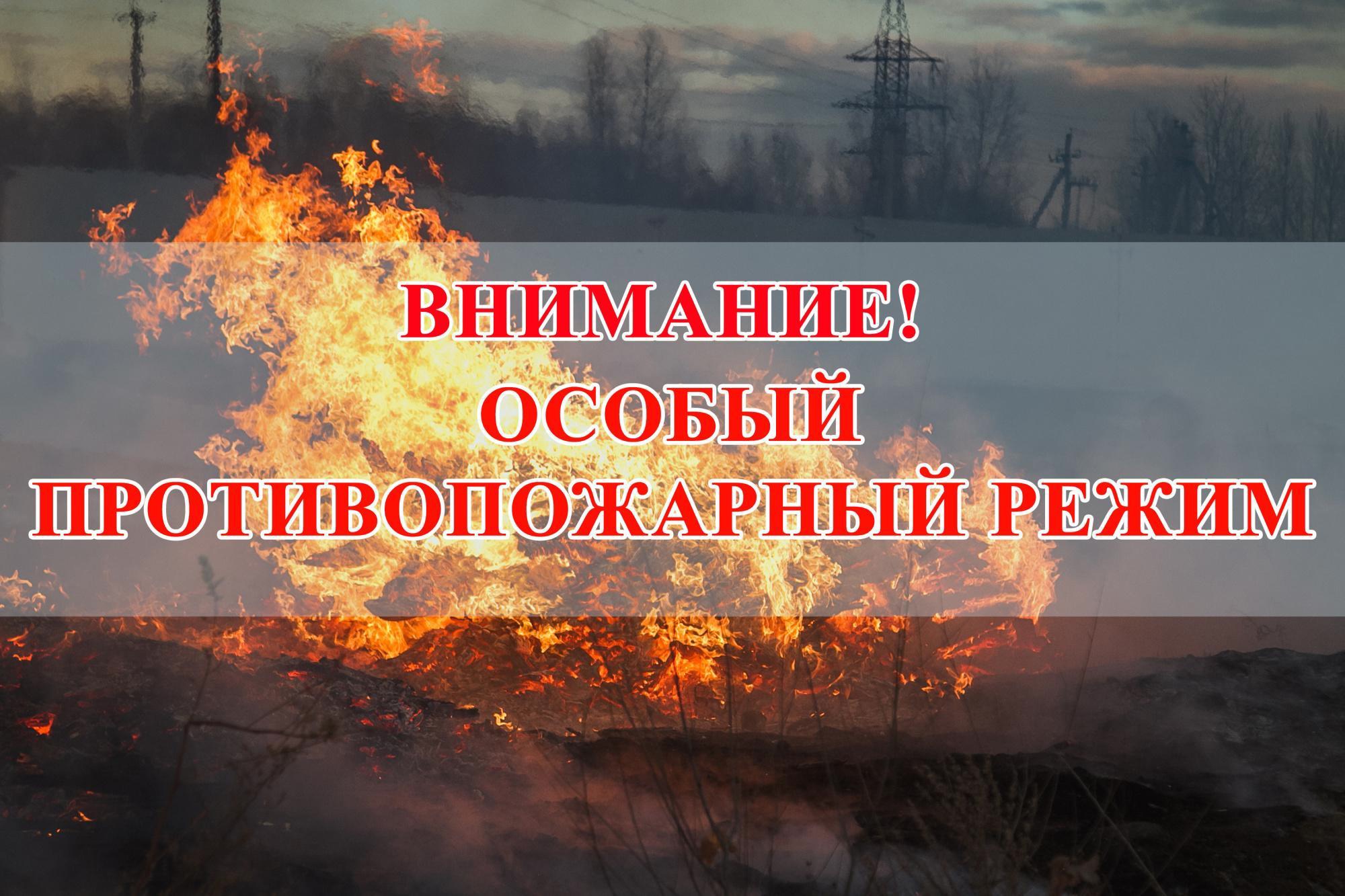 Во Владимирской области введён особый противопожарный режим