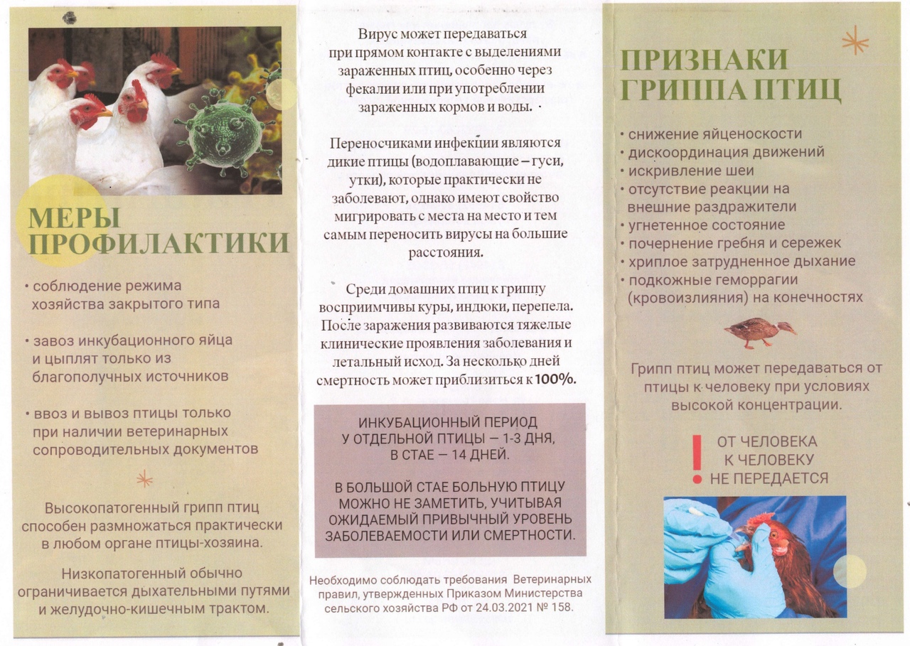 ВНИМАНИЕ! ВЛАДЕЛЬЦАМ ПТИЦЫ!