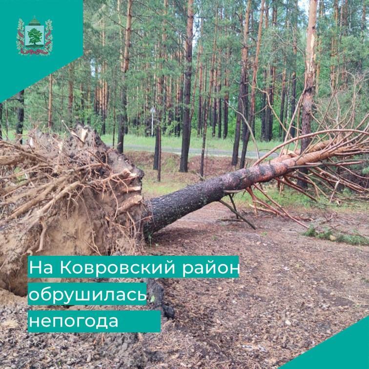 Более 20 населенных пунктов Ковровского района остались без света из-за непогоды